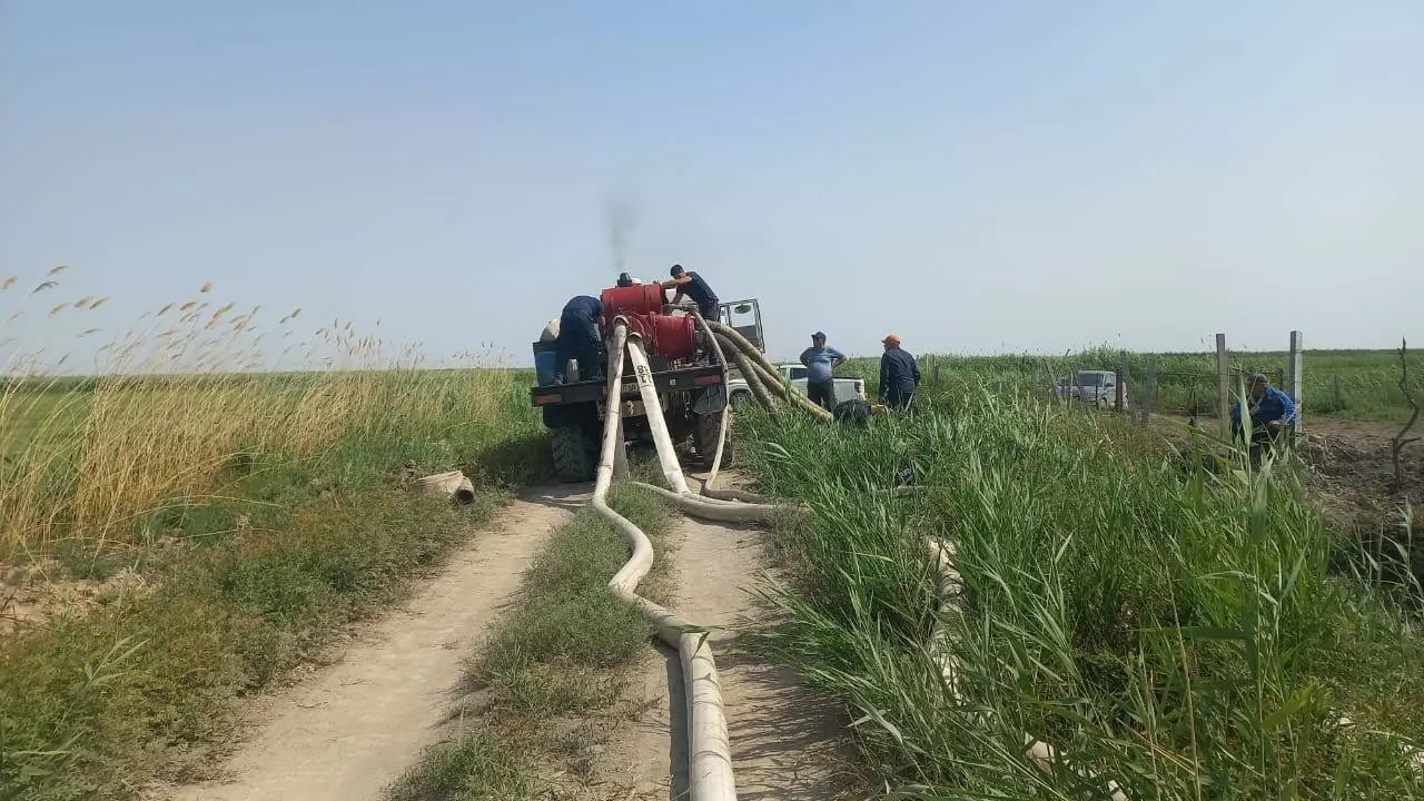 Спасатели МЧС РК спасают посевы Кызылординской области от засухи
