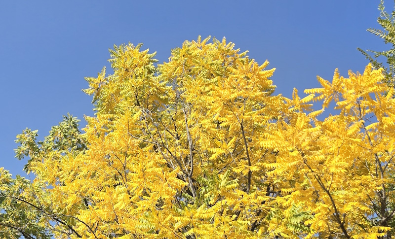 Какая погода ждет казахстанцев в сентябре