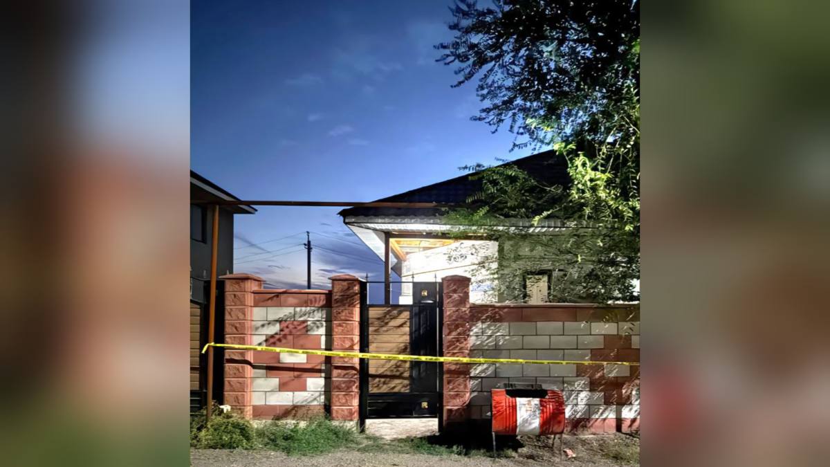 В Алматинской области полицейский спас двух человек, обезвредив мужчину с тесаком