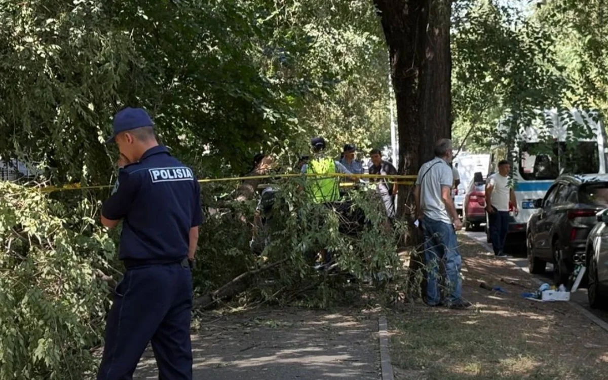 Трагедия в Алматы: на женщину упала ветка