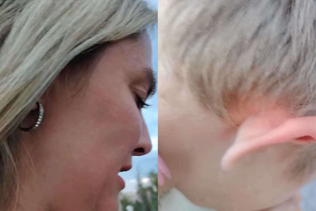 Осы атаковали семью с детьми в Ботаническом саду Астаны