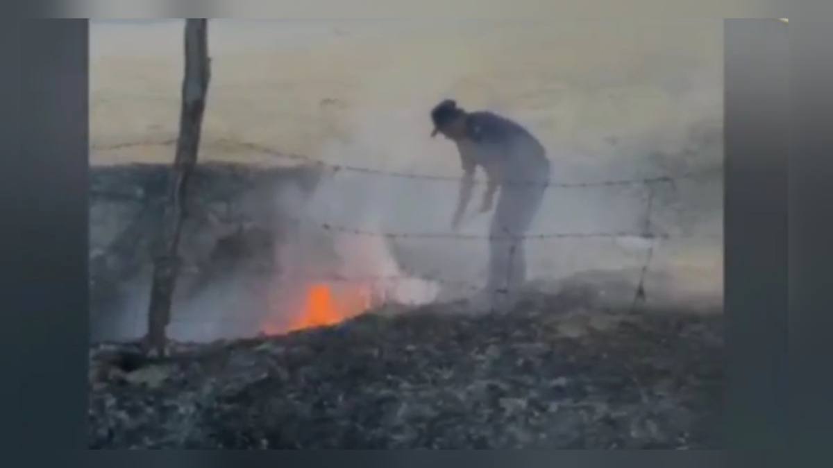 В Туркестанской области полицейские предотвратили пожар в яблоневом саду