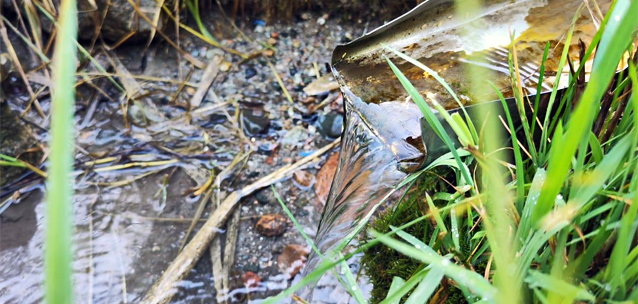 Родник на частной территории: почему дачники в урочище Кок-Лай-Сай опасаются остаться без воды