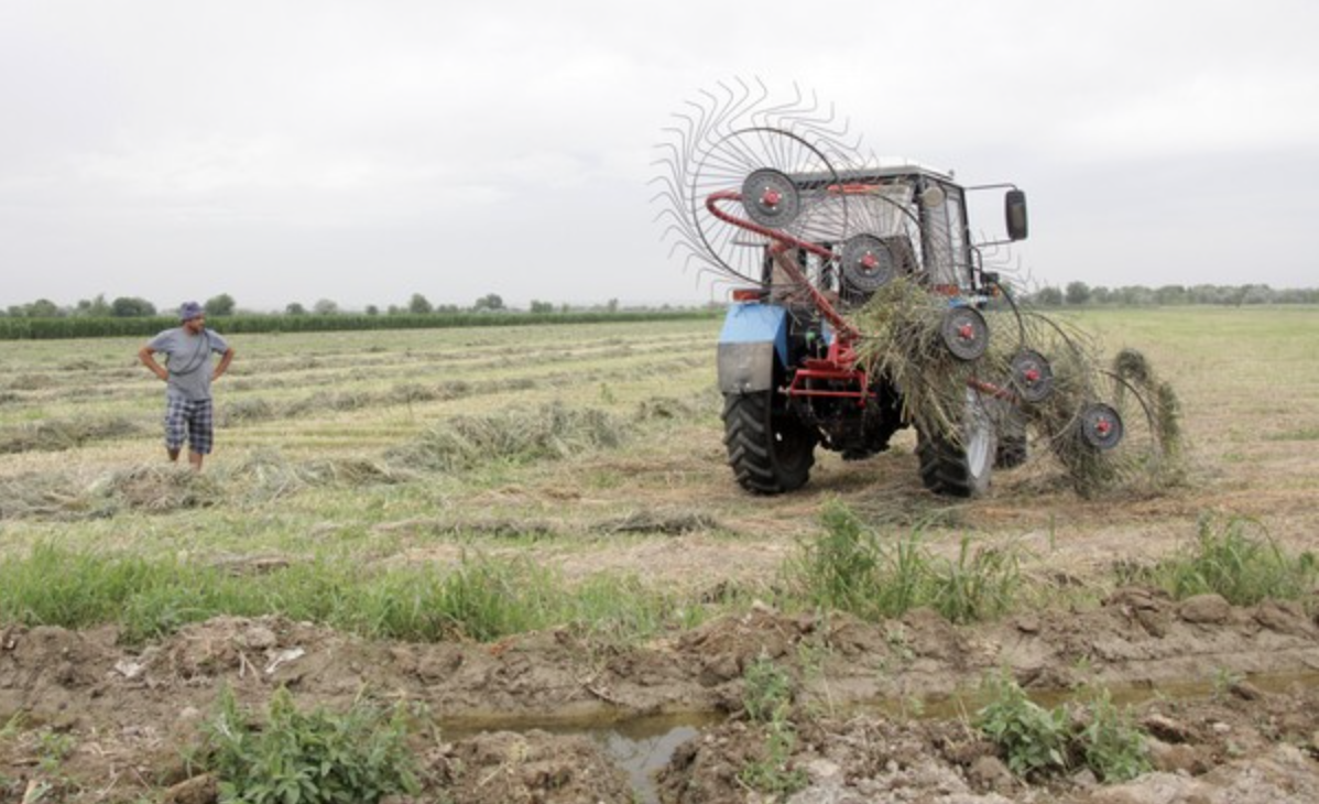 В Казахстане стали производить больше зерноуборочных комбайнов