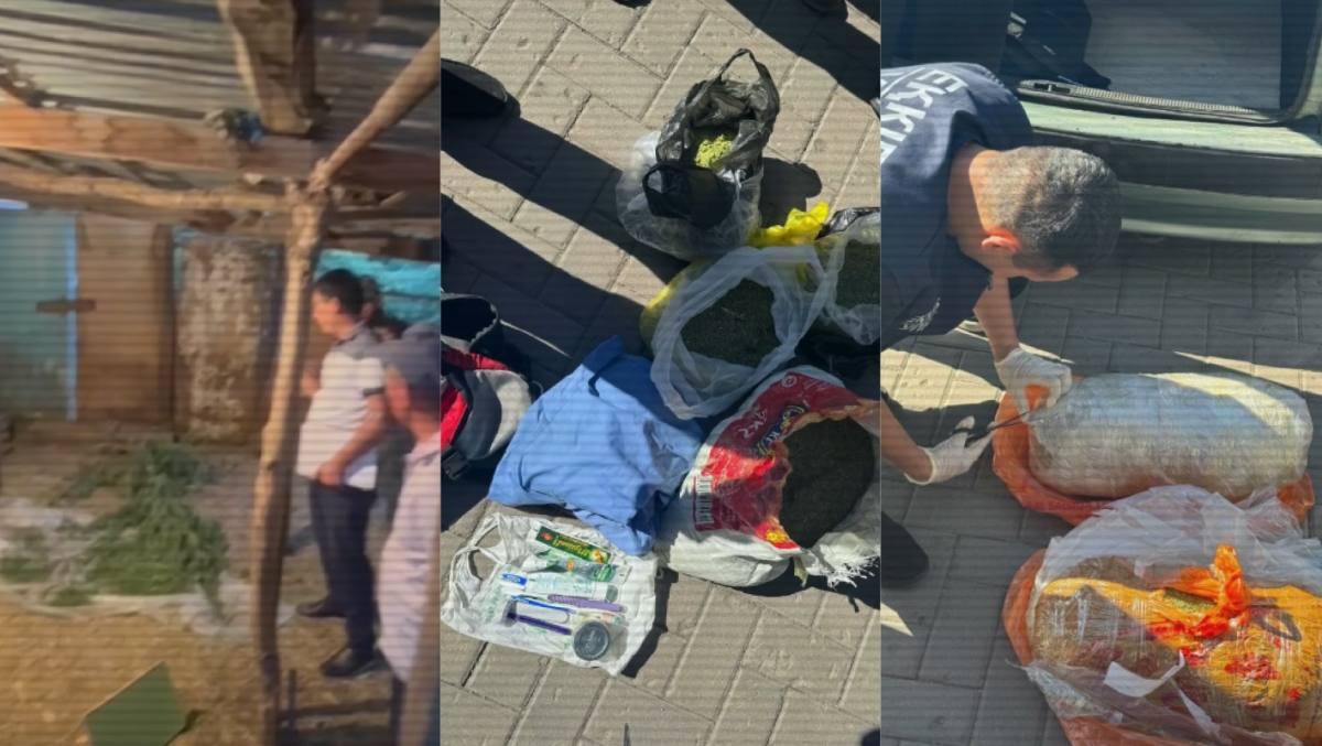 Сколько тонн наркотиков полицейские изъяли с начала года