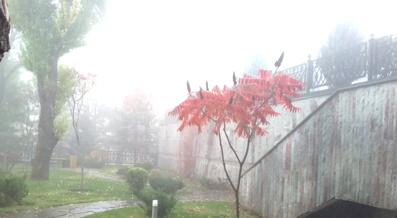 Какая погода будет в Астане, Алматы и Шымкенте с 24 по 26 августа