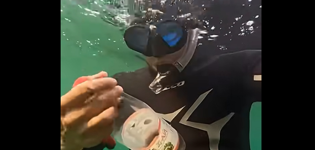 Актауский дайвер прошёл 1,3 км по дну Каспия, собирая мусор