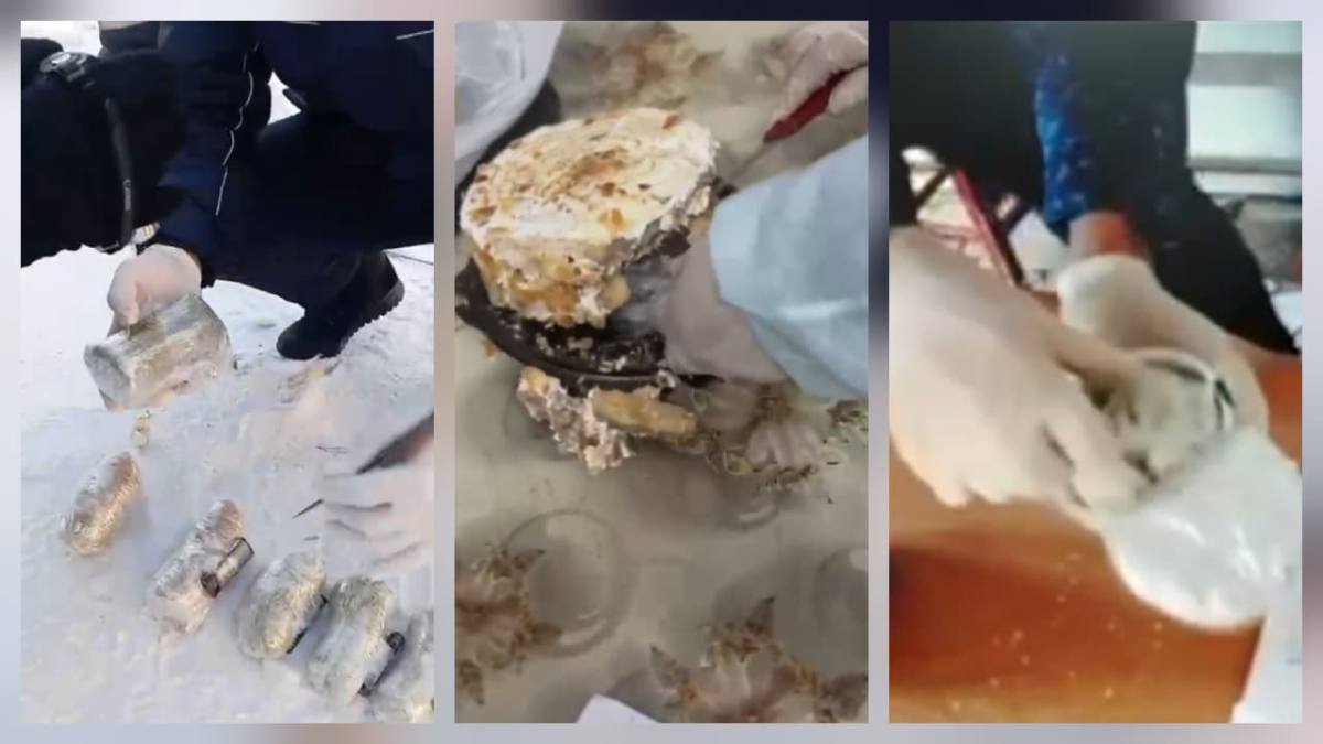 Адвокаты пойманы на попытке пронести запрещенные предметы в колонии