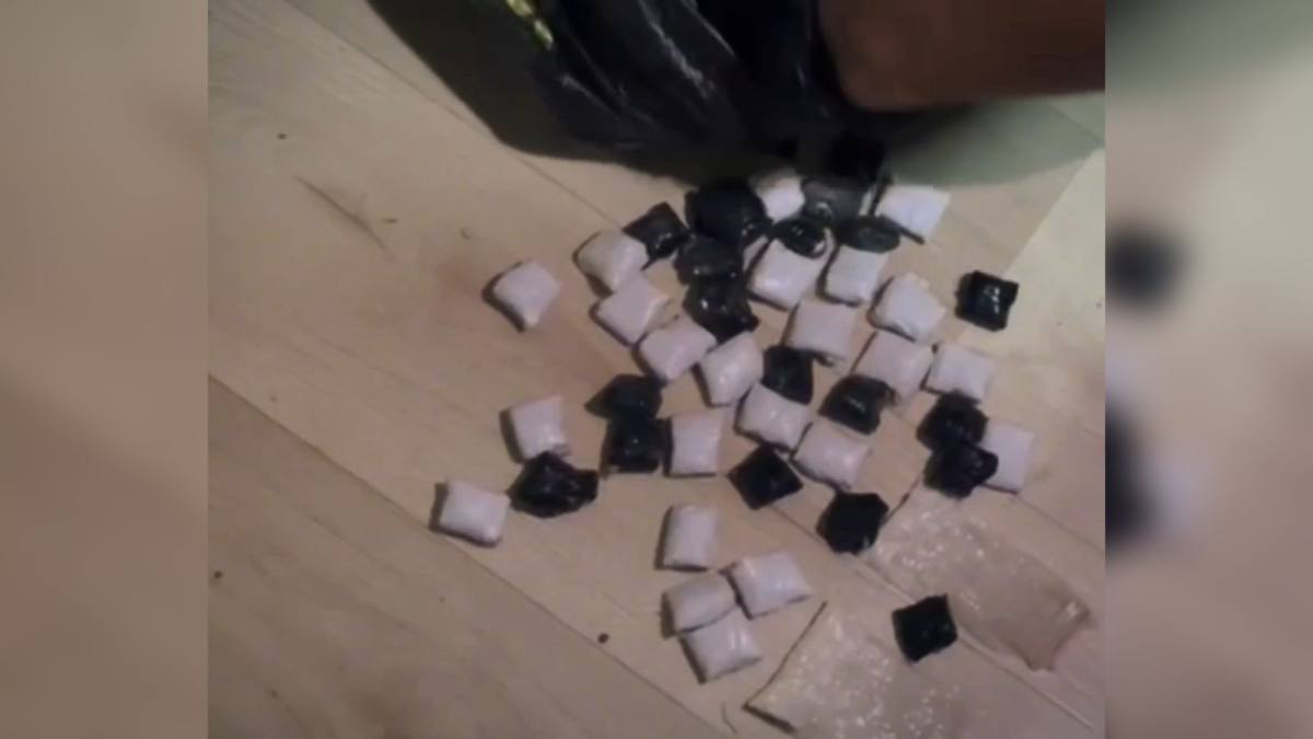 В Шымкенте полицейские пресекли канал поставки "синтетики"