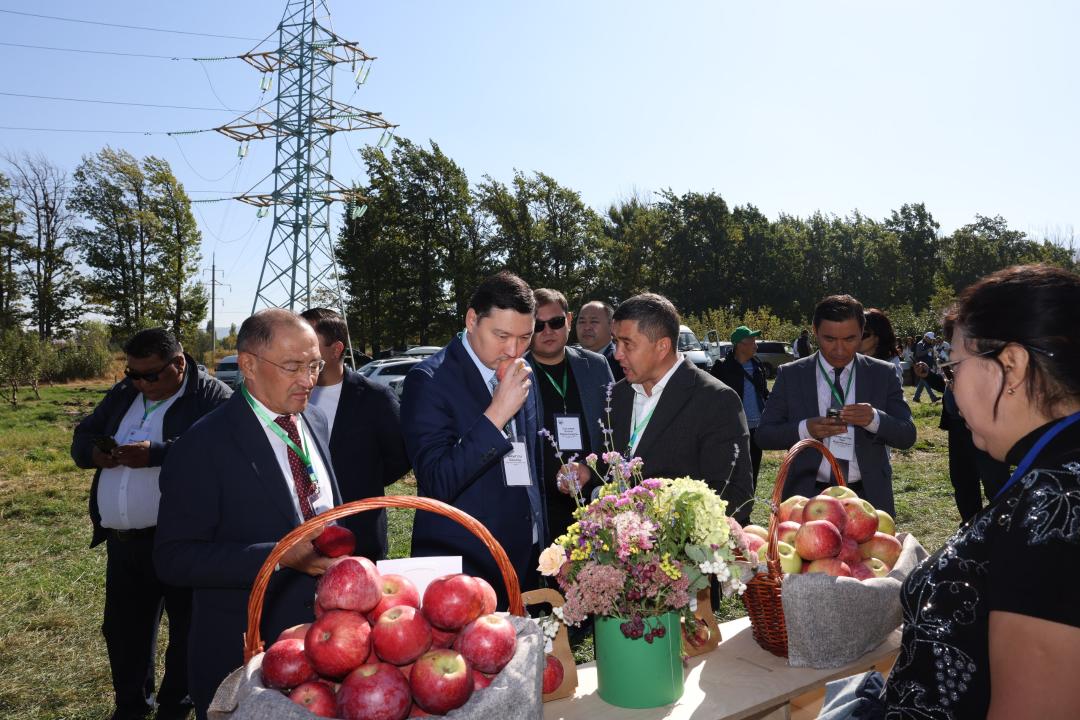 Традиционный «День сада» в Талгаре: главный акцент — восстановление апорта