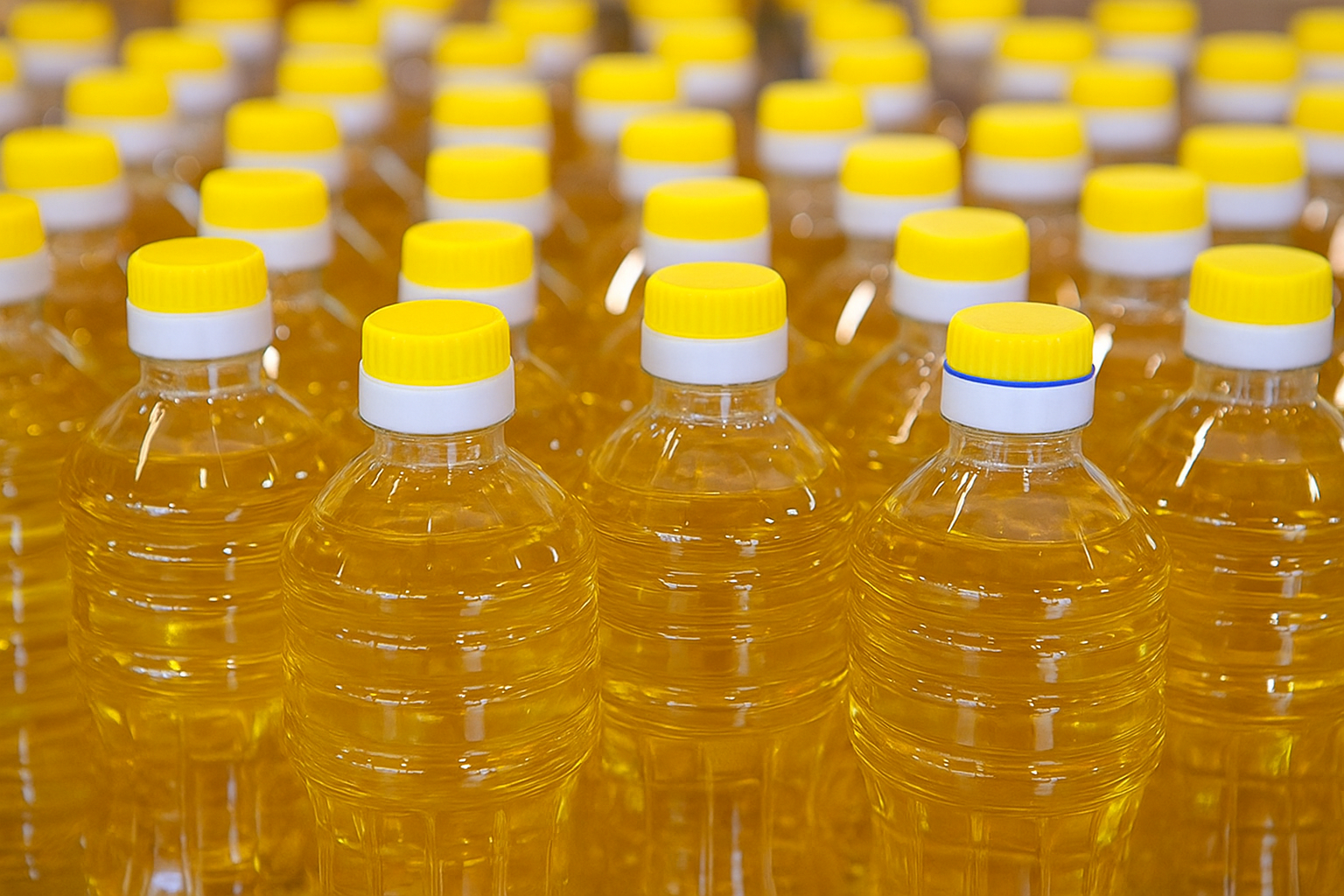 В Шымкенте выявили и уничтожили крупную партию поддельного масла