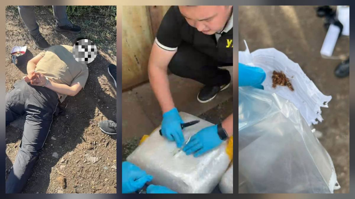 В Экибастузе перекрыт крупный канал поставки наркотиков