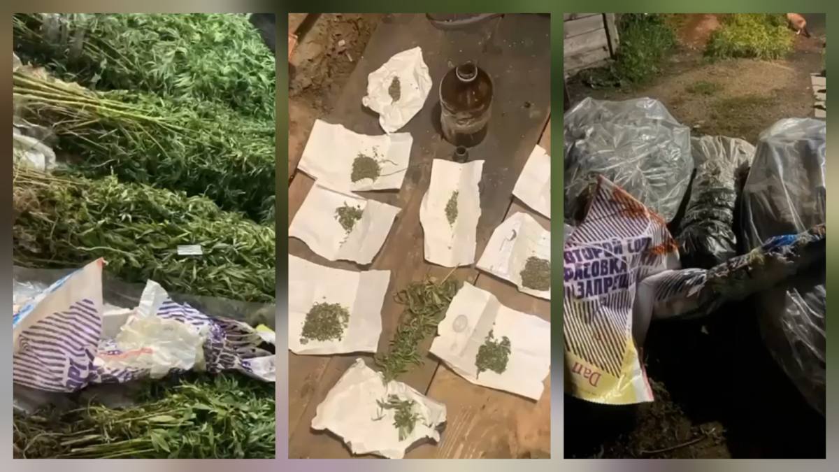 Полицейские изъяли у акмолинца 72 кг наркотиков