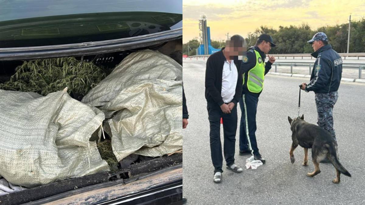 Полиция изъяла более 17 кг наркотических средств в Туркестанской области