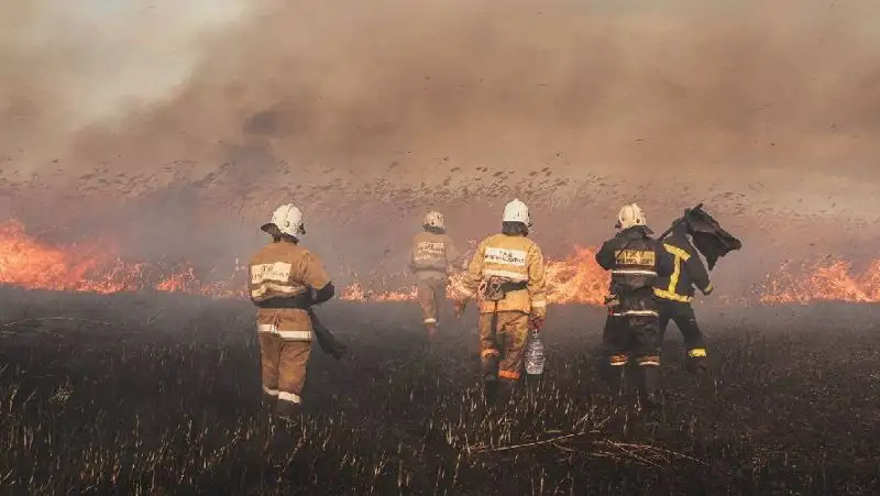 Склон горы горел в Алматы