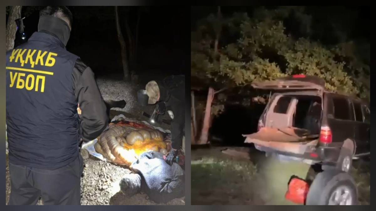 В Актюбинской области полицейские задержали скотокрадов с поличным