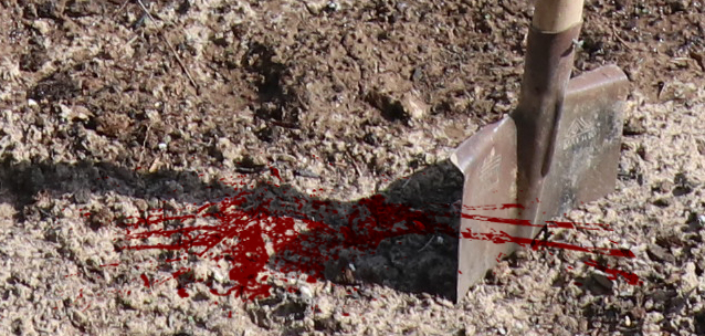 В Актау мужчина забил одноклассника лопатой