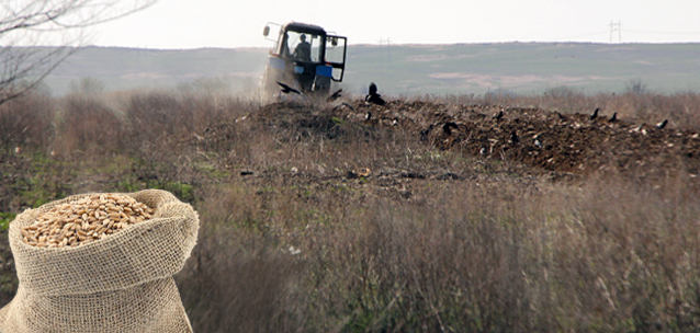 Казахстан будет выращивать меньше хлеба и давать больше жира