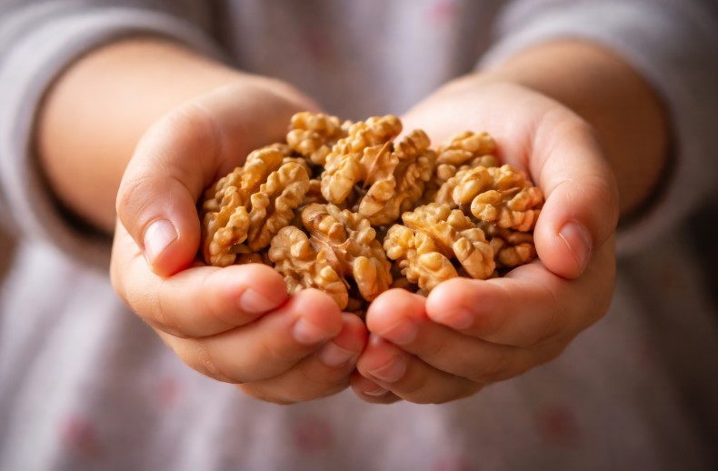 Гастроэнтеролог назвала самые полезные перекусы для школьников