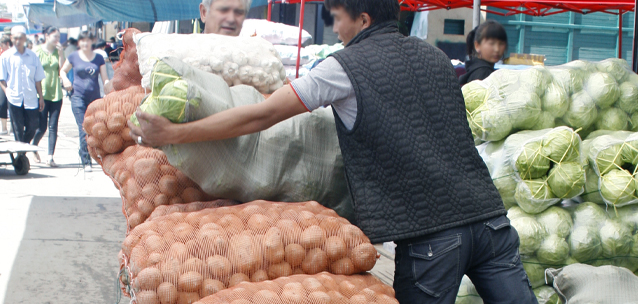 Свежие овощи дороже зимних: стоит ли запасаться картофелем впрок