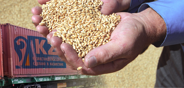 Казахстан уже потерял хлебный рынок Узбекистана – МСХ