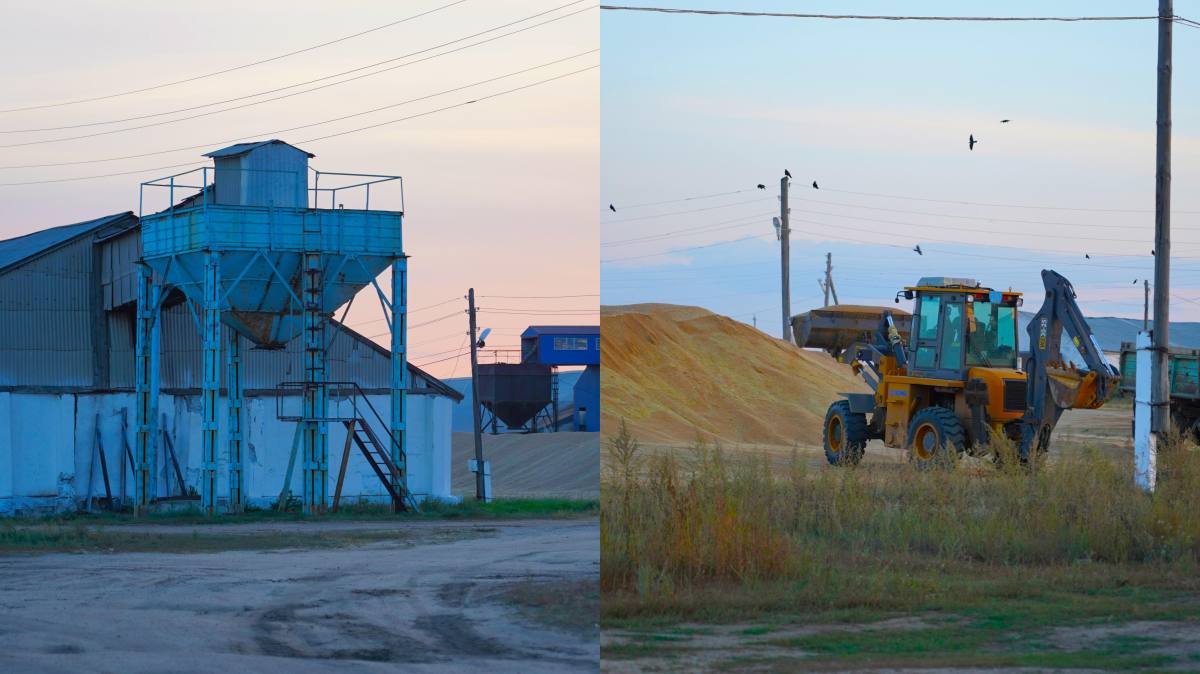 Полицейские раскрыли кражу 54 тонн пшеницы в Костанайской области