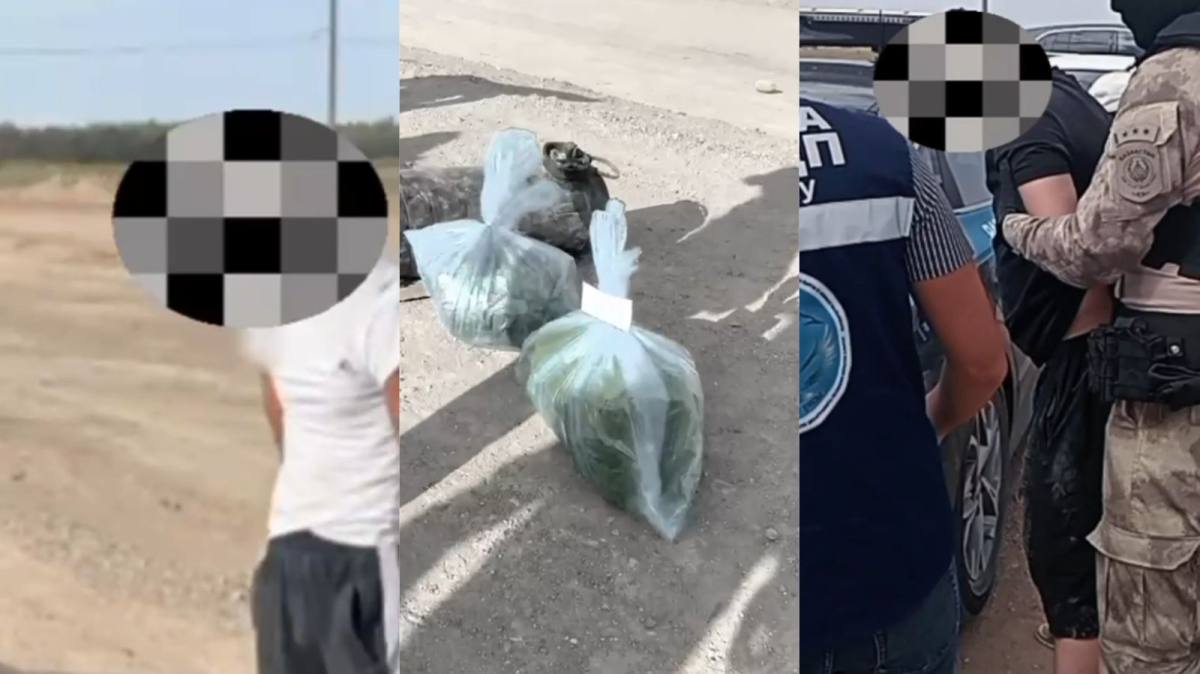 В Улытауской области полиция изъяла 15 кг марихуаны