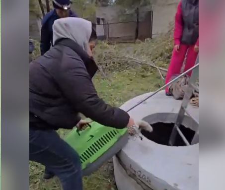 В Костанае спасатели МЧС вытащили лисёнка, упавшего в колодец