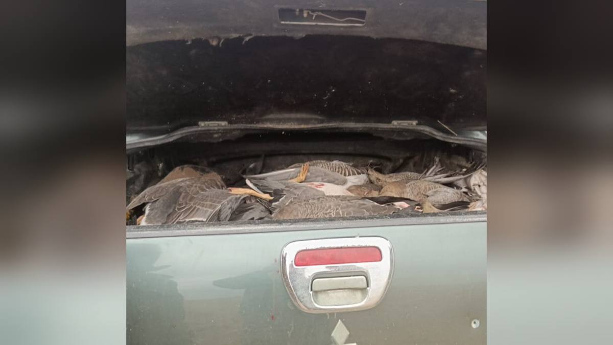 В Акмолинской области задержан браконьер из Астаны