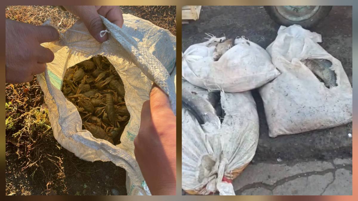 Рыбу и раков изъяли у браконьеров в СКО