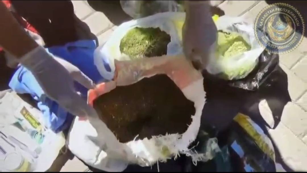 В Караганде задержан пенсионер с рекордной партией наркотиков