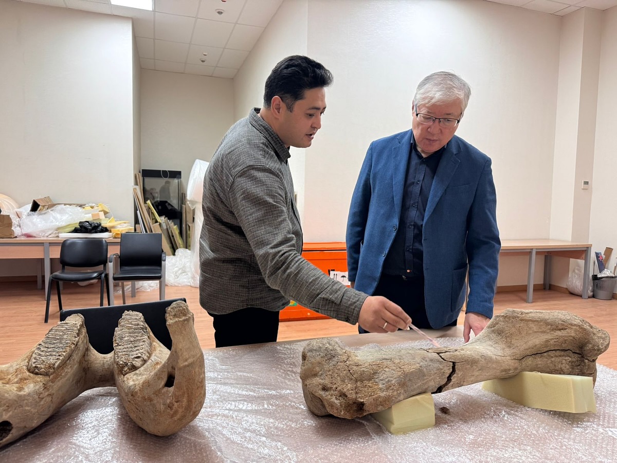 Останки мамонта нашли в Акмолинской области