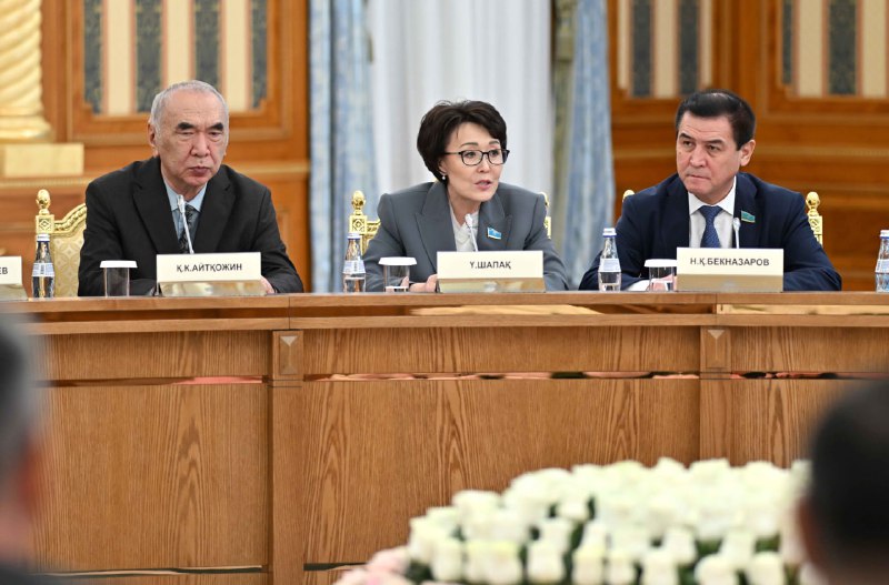 Парламент – это важнейшая структура, олицетворяющая нашу Независимость и государственность - Токаев