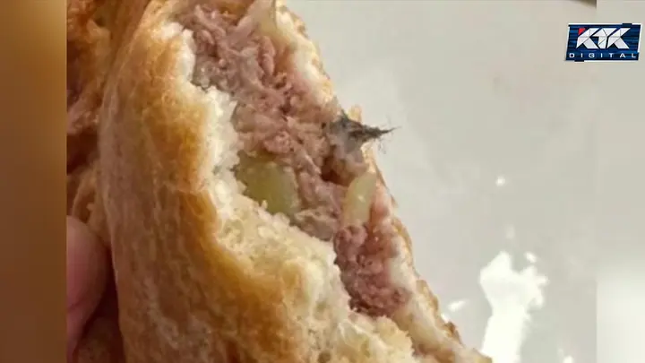 Школьную столовую в Семее закрыли после «начинки с шерстью»