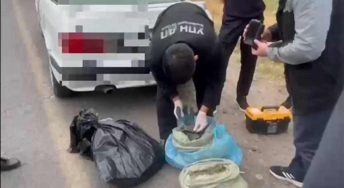 В Жамбылской области задержаны перевозчики крупной партии марихуаны