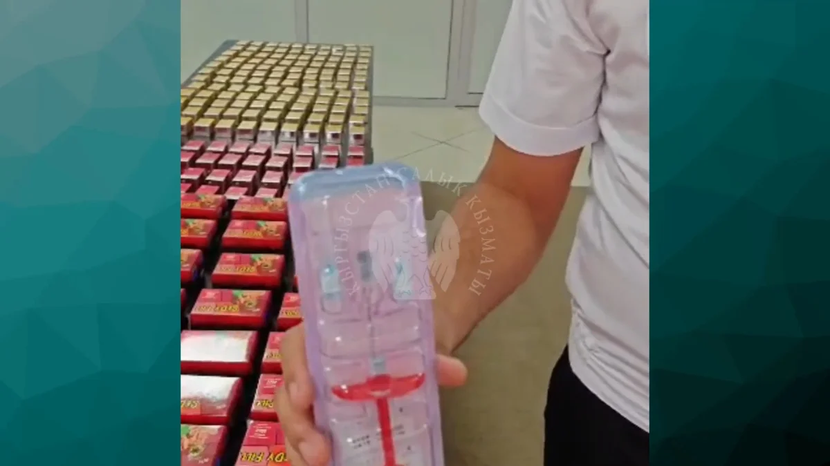 На границе Казахстана и Кыргызстана задержали контрабанду аналогов ботокса