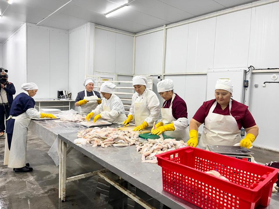 Рыбоперерабатывающий завод «Қарашалаң балық» запустили в Кызылординской области