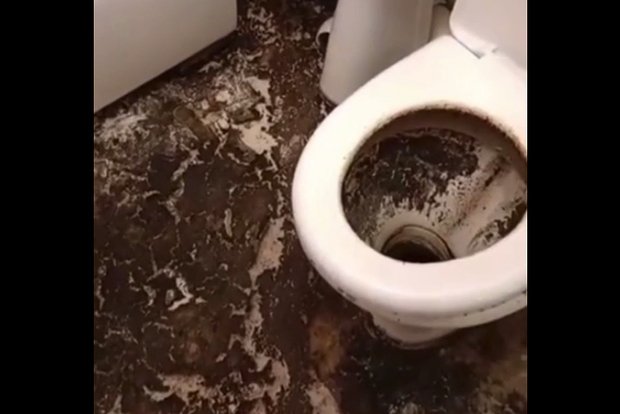 Многодетной россиянке выдали залитую фекалиями квартиру
