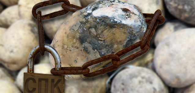 80% еды не дошли до граждан от СПК: почему акимы областей вне подозрений?