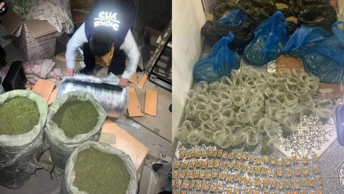 В Мангистауской области полицейские пресекли крупный канал хранения и распространения наркотиков