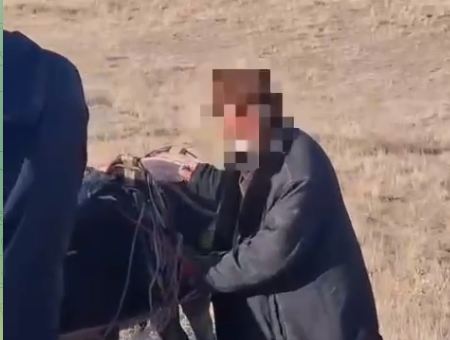 В Жамбылской области полицейские нашли заблудившегося пастуха с 700 овцами