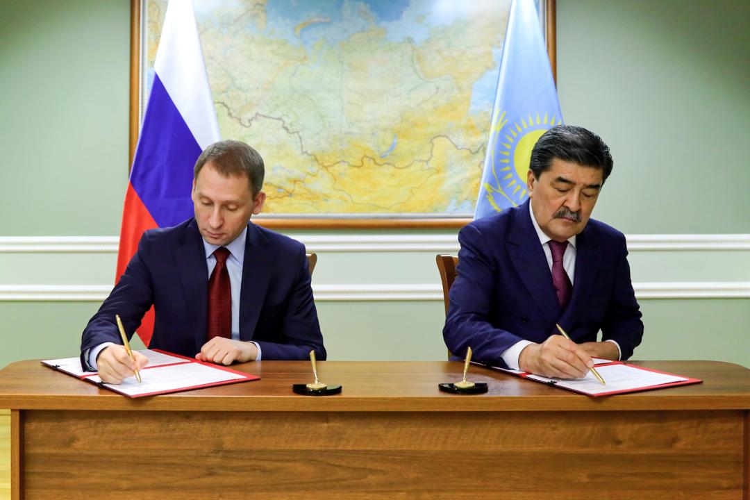 В Казахстане утвердили план по восстановлению популяции амурских тигров