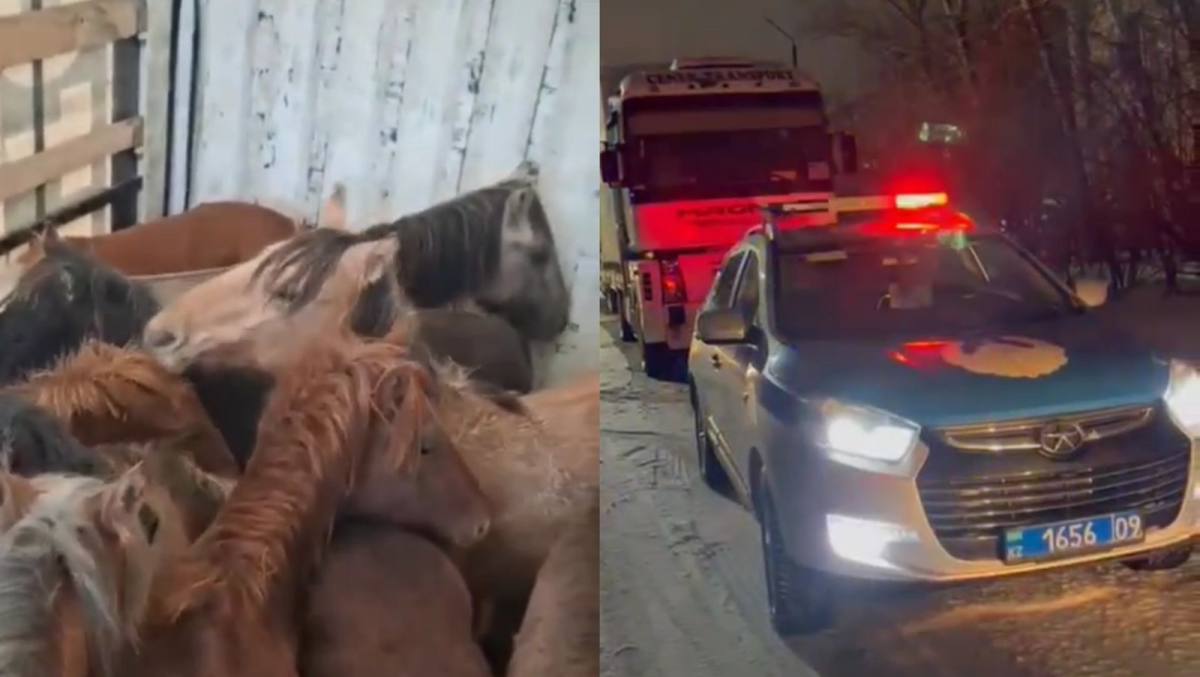 В Темиртау полиция задержала скотокрада на одном из блокпостов
