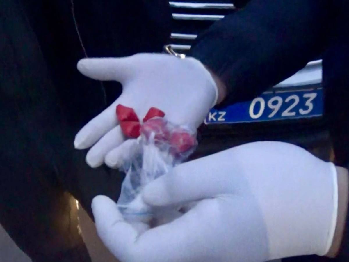 Полицейские Павлодарской области задержали мужчину за закладки наркотиков с применением магнитов