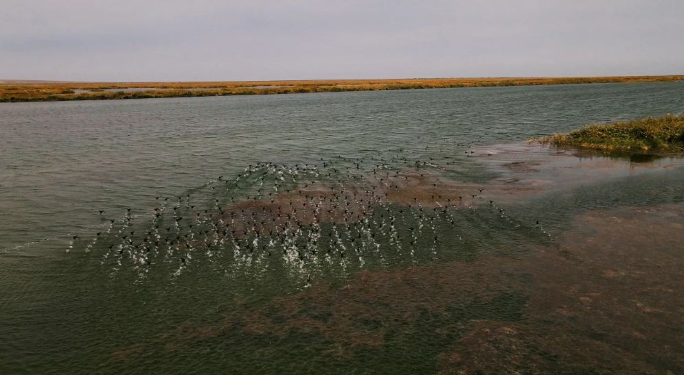 В одном из регионов Казахстана планируется строительство двух новых водохранилищ
