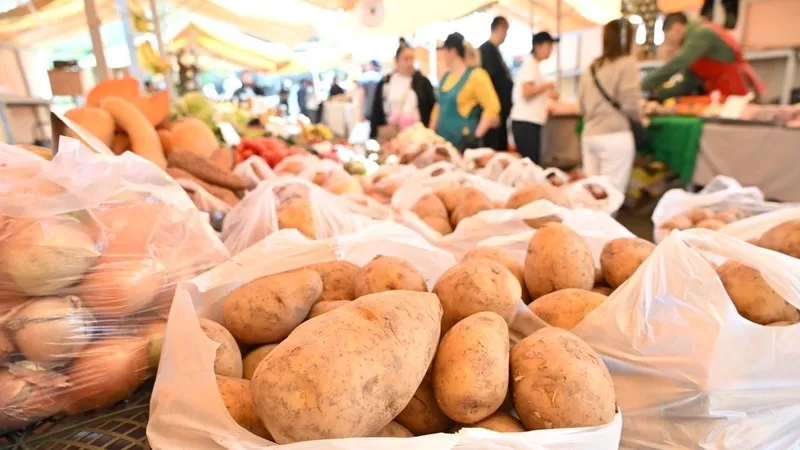Аренду для бизнесменов, получивших господдержку, не будут поднимать в течение года