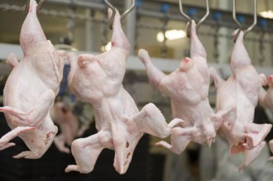 В Казахстан не допустили ввоз 20 тонн российского мяса птицы