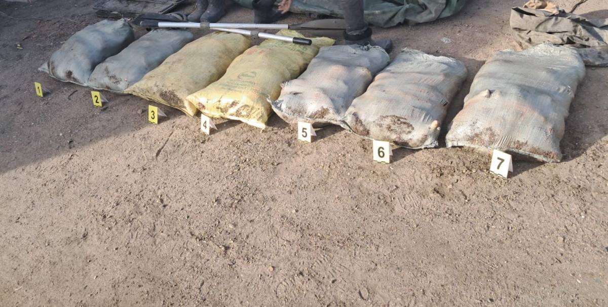 В Павлодарской области полиция изъяла у браконьеров почти 300 кг рыбы