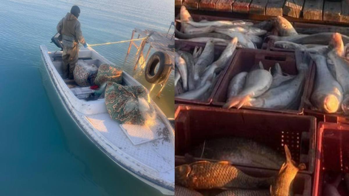 На озере Балхаш задержали браконьеров