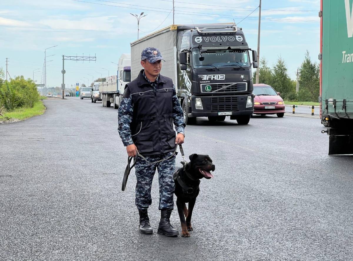 В Астане служебная собака обнаружила гашиш в автомобиле